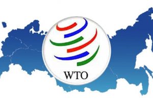 Biểu cam kết thương mại và dịch vụ của Việt Nam trong WTO