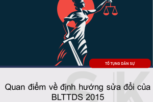 Quan điểm về định hướng sửa đổi của BLTTDS 2015